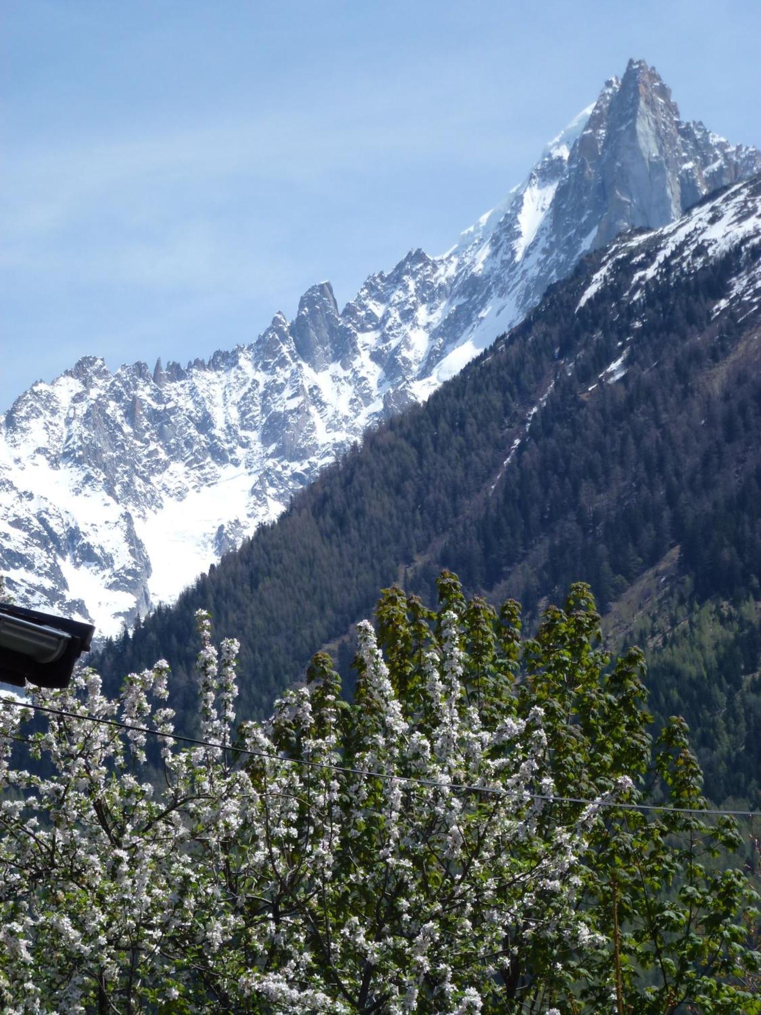 Hotel Du Clocher Chamonix Dış mekan fotoğraf